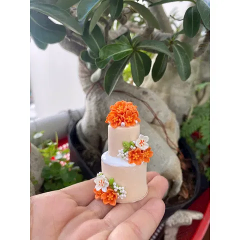 bánh kem 2 tầng