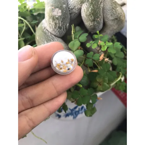 chén chè mini bằng đất sét