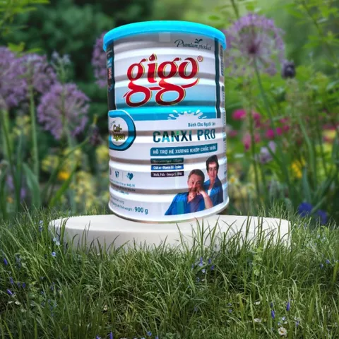 Combo(2 Hộp) Sữa bột dinh dưỡng GiGo canxipro 900g