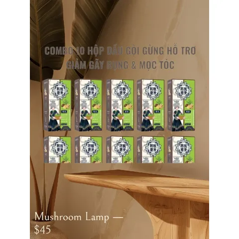 Giá sỉ _10 hộp dầu gội thảo mộc gừng 5 trong 1