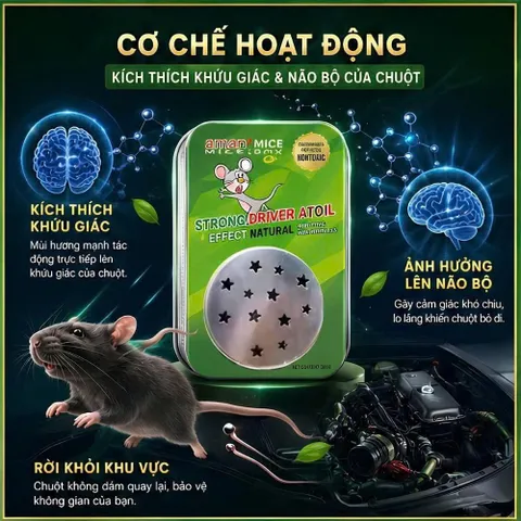 Sáp Đuổi Chuột Cao Cấp Cho Xe Điện 🐭  - Chiết Xuất Hoàn Toàn Từ Thiên Nhiên, Ngăn Chuột Hiệu Quả (P135222)