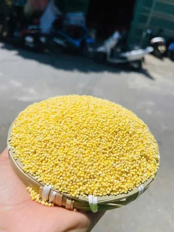 Hạt kê nếp quê 1kg (P134460)