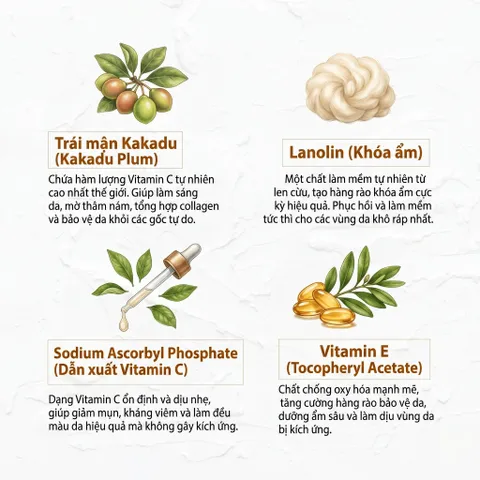 Kem Dưỡng Vitamin C Australian Creams Brightening Moisturising Cream Kakadu Plum 250g - Dưỡng Ẩm, Hỗ Trợ Làm Sáng Da