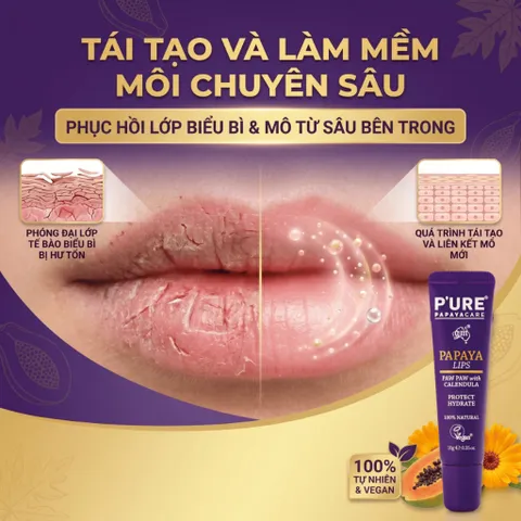 KEM MÔI TÁI TẠO VÀ LÀM MỀM MÔI CHUYÊN SÂU PURE PAPAYA CARE
