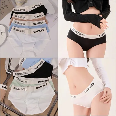 S69 Set 10 Quần lót nữ su non cao cấp, phối chữ DAMSES sexy, quyến rũ, kháng khuẩn, nhiều màu, mát lạnh