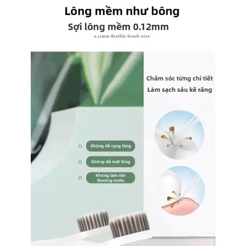 Cestbon | 5 Bàn Chải Răng Lông Mềm Cho Vệ Sinh Hiệu Quả Và Bảo Vệ Nướu 5 Cây bàn chải đánh răng