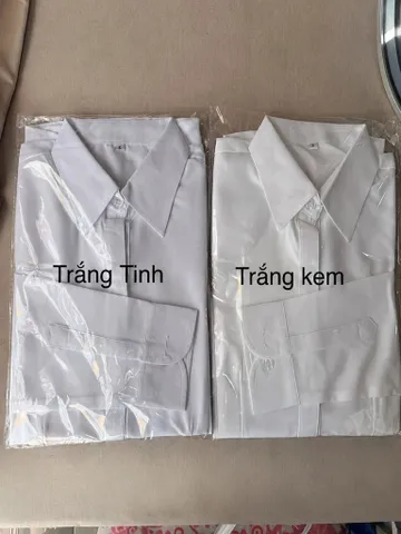 Áo Sơ Mi Nữ Công Sở Vải Lụa Nhung Form Ôm Tôn Dáng Tay Dài,Lỡ,Ngắn S-6XL