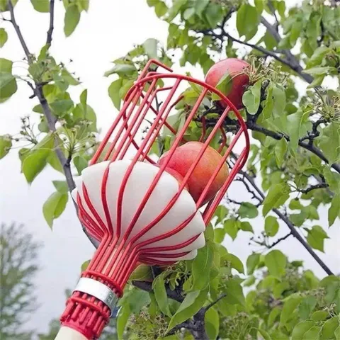 Giỏ hái trái cây dụng cụ giật hái trái cây lồng vặt hoa quả Đầu vợt hái quả, Giỏ hái quả Trên Cao Dễ Sử Dụng