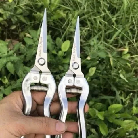 Kéo tỉa dăm, cành, lá cây cảnh - 19cm, Silver Kéo Nhỏ Tỉa Cây Cảnh Làm Vườn