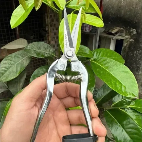 Kéo tỉa dăm, cành, lá cây cảnh - 19cm, Silver Kéo Nhỏ Tỉa Cây Cảnh Làm Vườn