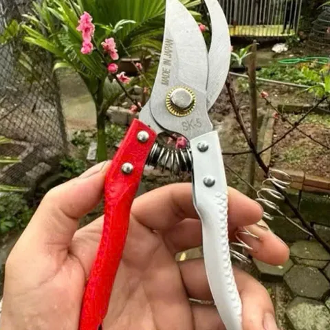 COMBO 3 KÉO CẮT CÀNH - KÉO TỈA CÂY SIÊU SẮC BÉN LƯỠI THÉP CHỐNG RỈ KÉO TỈA CÂY CẢNH