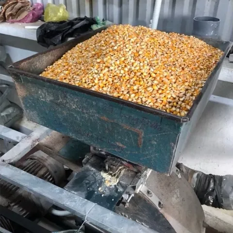 Cám Bắp - Thức Ăn Chăn Nuôi Dê Gà Vịt..Bao 5kg