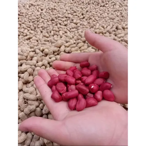 1kg Lạc Đỏ,Lạc Quê Mới Thu Hoạch Bóc Tay