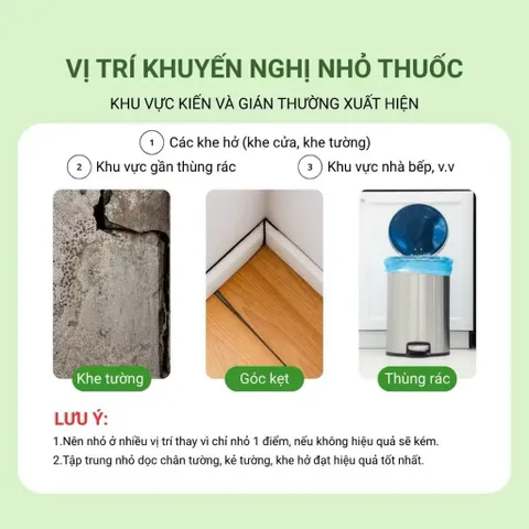 Combo 10 Lọ diệt kiến sinh học tận gốc