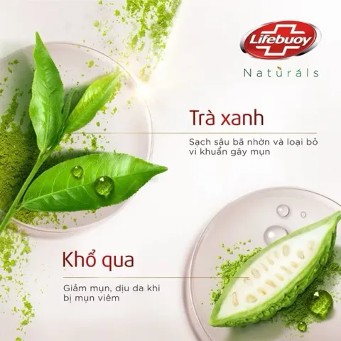 Sữa tắm Lifebuoy Thiên nhiên Detox Và Chăm Sóc Chuyên Sâu 800g