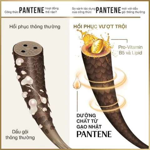 Dầu Gội PANTENE Ngăn Rụng Tóc Chai 700ml