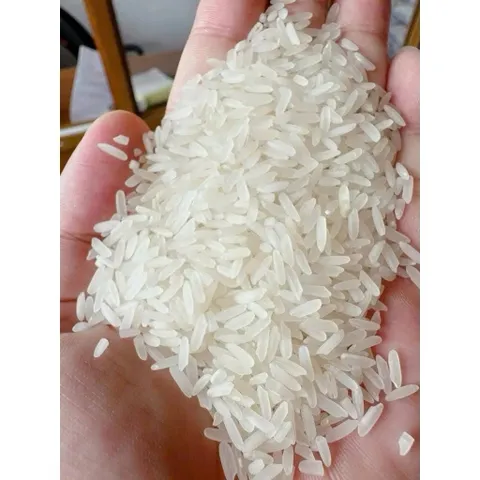 5Kg Gạo Quê Nhà Tự Trồng(Gạo BC Thái Bình) Không Chất Bảo Quản,Gạo Tự Nhiên Thơm Nhẹ Đậm Gạo
