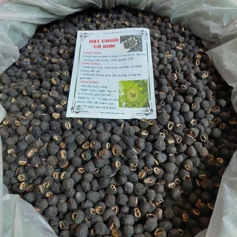 Hạt Chuối Cô Đơn Dùng Ngâm Tửu