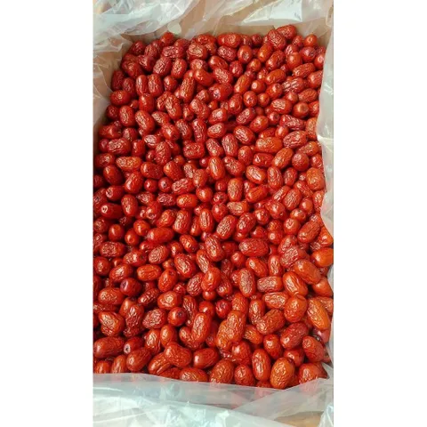 Táo đỏ Tân Cương - Vùng đất khởi nguồn của TÁO ĐỎ