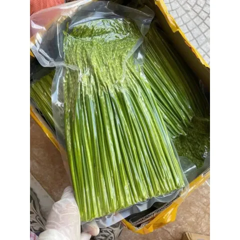 1kg Đòng Đòng Lúa Nếp Cái Hoa Vàng Ngâm Tửu