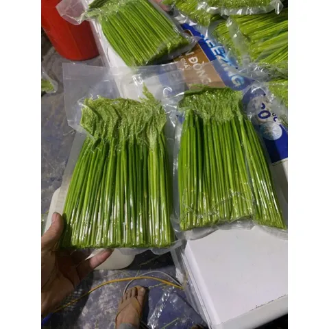 1kg Đòng Đòng Lúa Nếp Cái Hoa Vàng Ngâm Tửu