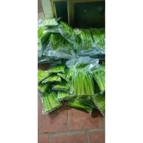 1kg Đòng Đòng Lúa Nếp Cái Hoa Vàng Ngâm Tửu