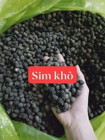 Sim Rừng Khô 1kg, Quả Sim Tự Nhiên, Đóng Túi Tiện Lợi, Ngâm Tửu Bổ Sức Khỏe