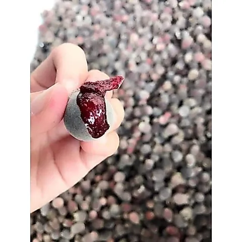 Sim Rừng Khô 1kg, Quả Sim Tự Nhiên, Đóng Túi Tiện Lợi, Ngâm Tửu Bổ Sức Khỏe