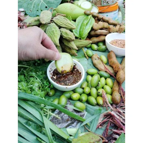 CHẨM CHÉO KHÔ TÂY BẮC