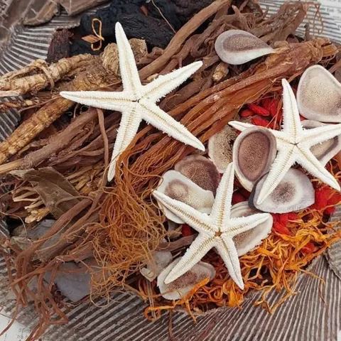 Thang Bổ 19 Vị Tự Nhiên, Dược Liệu Quý Tây Bắc Ngâm Tửu Bổ Dưỡng Tăng Đề Kháng