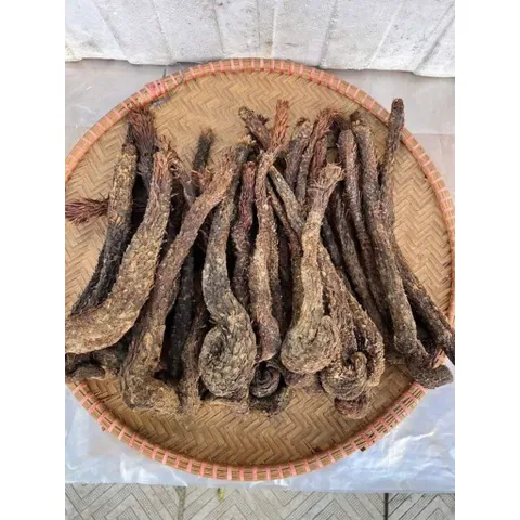 nhụ.c thung dung khô 1kg