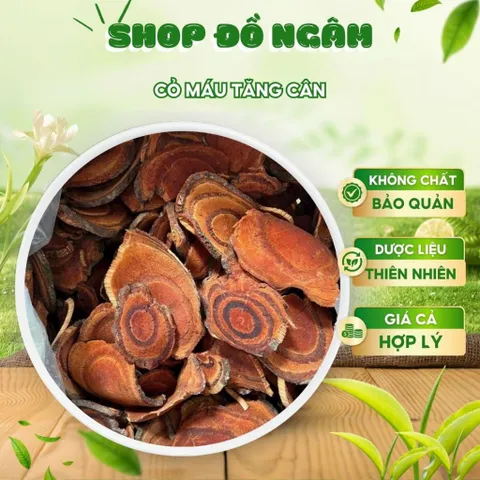 Cỏ máu tăng cân, Thảo dược tự nhiên tốt cho sức khỏe an toàn khi sử dụng