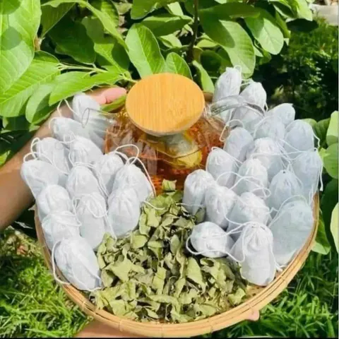 Trà giảm cân lá ổi, Sản phẩm thảo mộc tự nhiên hỗ trợ sức khỏe, trà túi lọc dễ dàng sử dụng