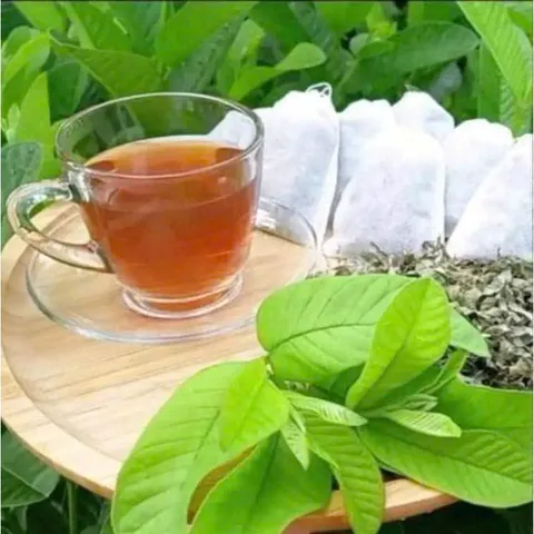 Trà giảm cân lá ổi, Sản phẩm thảo mộc tự nhiên hỗ trợ sức khỏe, trà túi lọc dễ dàng sử dụng