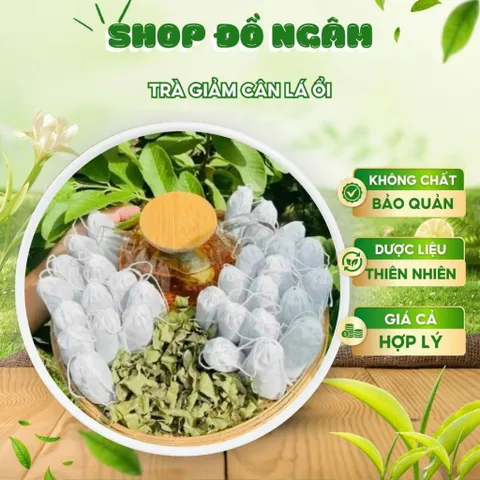 Trà giảm cân lá ổi, Sản phẩm thảo mộc tự nhiên hỗ trợ sức khỏe, trà túi lọc dễ dàng sử dụng