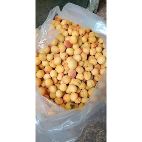 (10kg)Mơ Má Đào Mộc Châu