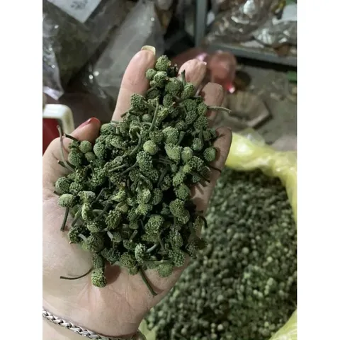 Nụ Hoa Tam Thất Khô, Thảo Dược Tự Nhiên, An Thần, Ngủ Ngon, Hỗ Trợ Huyết Áp Bồi Bổ Sức Khỏe