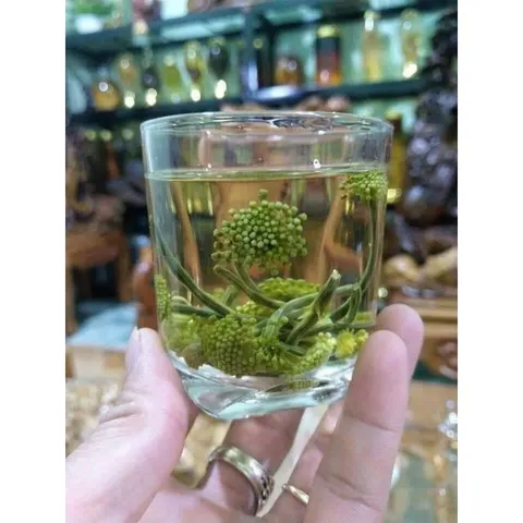 Nụ Hoa Tam Thất Khô, Thảo Dược Tự Nhiên, An Thần, Ngủ Ngon, Hỗ Trợ Huyết Áp Bồi Bổ Sức Khỏe