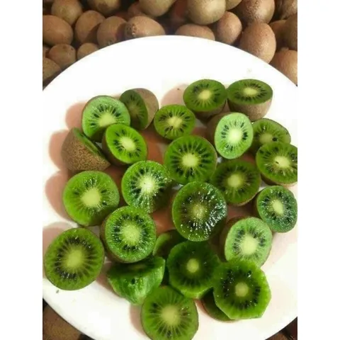 Kiwi Rừng Tây Bắc, Trái Cây Nguyên Chất, Tươi Ngon, Giàu Vitamin, Đặc Sản Tây Bắc