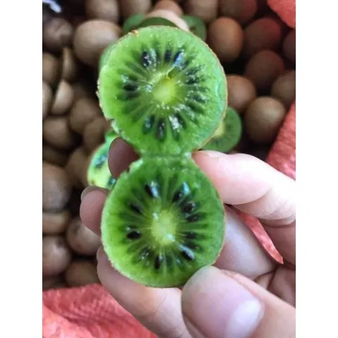 Kiwi Rừng Tây Bắc, Trái Cây Nguyên Chất, Tươi Ngon, Giàu Vitamin, Đặc Sản Tây Bắc