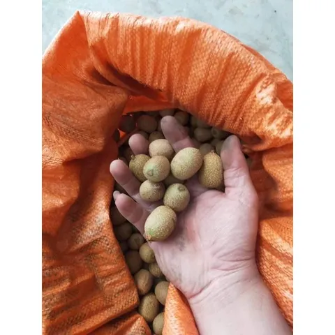 Kiwi Rừng Tây Bắc, Trái Cây Nguyên Chất, Tươi Ngon, Giàu Vitamin, Đặc Sản Tây Bắc