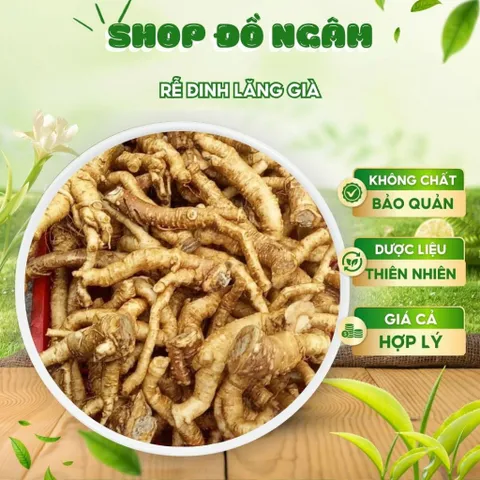 Rễ Đinh Lăng Già Nguyên Chất, Thảo Dược Bồi Bổ Sức Khỏe, Lưu Thông Khí Huyết, Đặc Sản Dân Gian