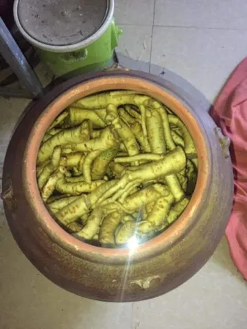 Rễ Đinh Lăng Già Nguyên Chất, Thảo Dược Bồi Bổ Sức Khỏe, Lưu Thông Khí Huyết, Đặc Sản Dân Gian