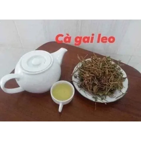 Cà Gai Leo Khô, Thảo Dược Tự Nhiên, Hỗ Trợ Gan, Nguyên Chất 100%