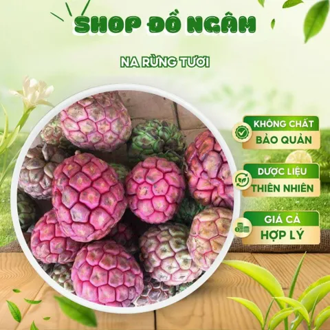 Na Rừng Tươi, Đặc Sản Núi Rừng Tây Bắc, Vị Chua Ngọt Tự Nhiên, Nguyên Liệu Ngâm Tửu
