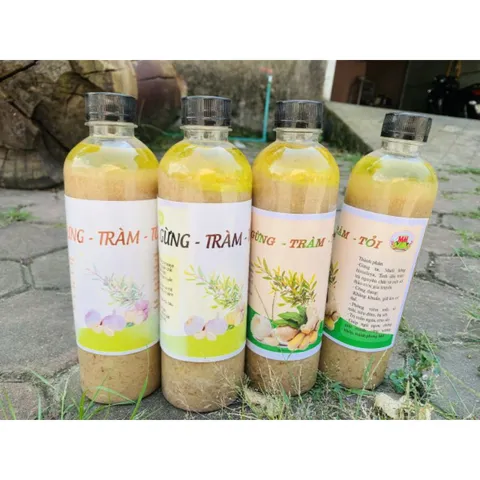 Cốt gừng tươi tràm tỏi