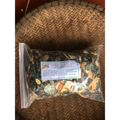 Lá mat gan, Nguyên liệu tự nhiên hỗ trợ men gan, mát gan giải nhiệt tăng cường sức khỏe