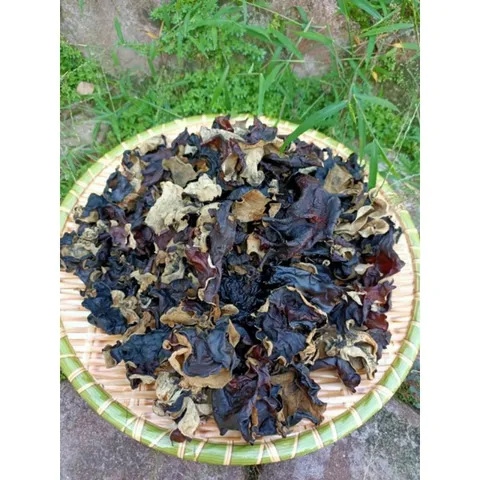 Mộc Nhĩ Rừng Không Chân, Thảo Dược Nguyên Chất, Tươi Ngon, Ngâm Tửu & Chế Biến Món Ăn