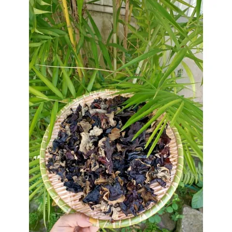 Mộc Nhĩ Rừng Không Chân, Thảo Dược Nguyên Chất, Tươi Ngon, Ngâm Tửu & Chế Biến Món Ăn