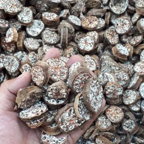 Chuối Hột Rừng Thái Nát, Thảo Dược Rừng Nguyên Chất, Hỗ Trợ Tiêu Hóa, Bổ Thận, Lợi Tiểu, Thanh Nhiệt Cơ Thể